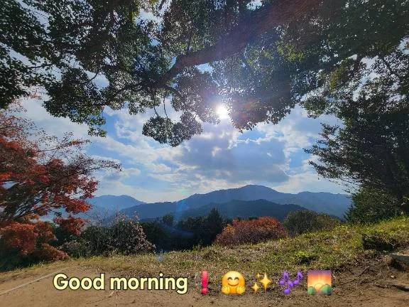 おはようございます♪︎♪︎