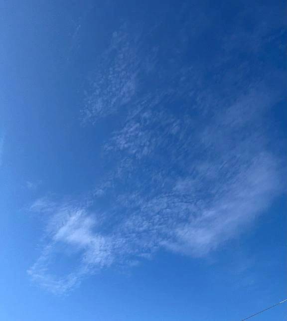 おはようございます♡