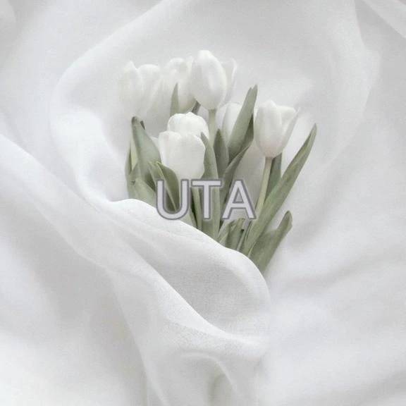 出勤しました🐰ᩚ