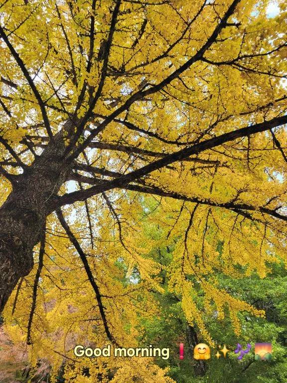 おはようございます♪︎♪︎