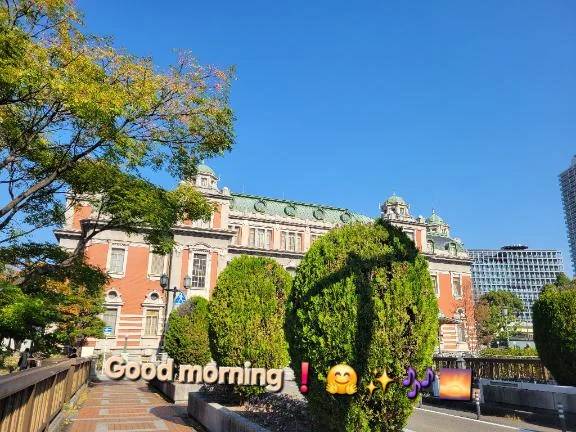 おはようございます♪︎♪︎