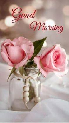 おはようございます♡は