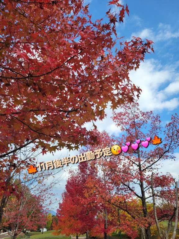 ◎11月後半の出勤予定◎