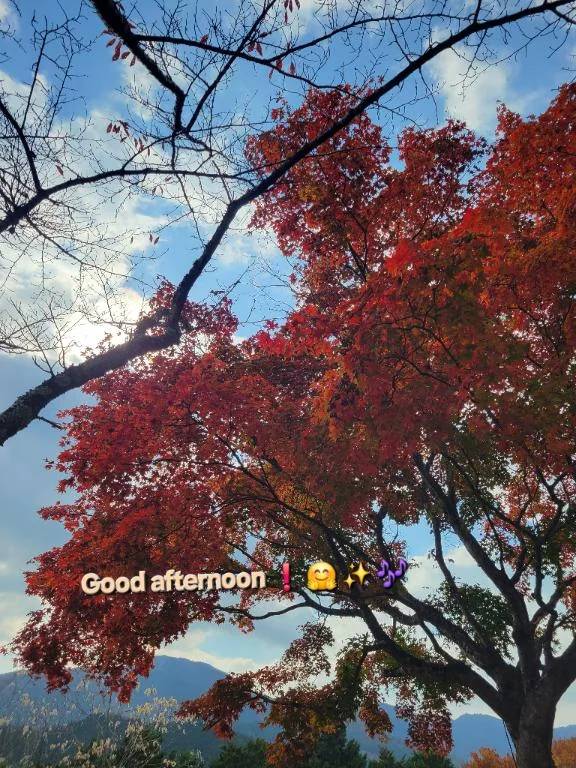 こんにちは♪︎♪︎