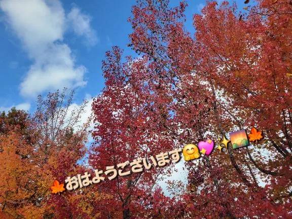 おはようございます☆