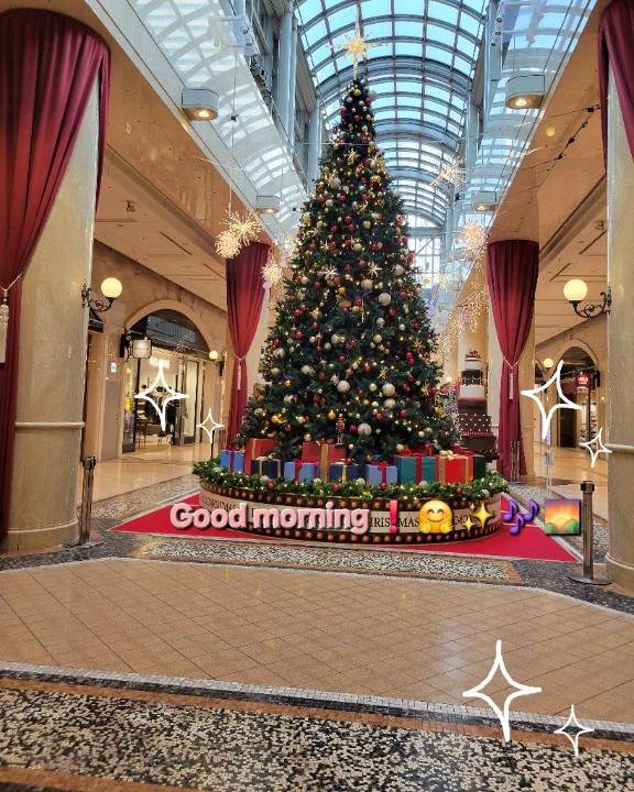 おはようございます♪︎♪︎