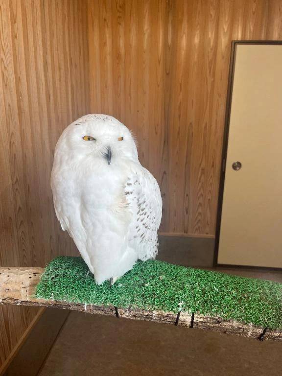 メンテナンスDay