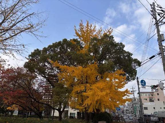 おはようございます🐥