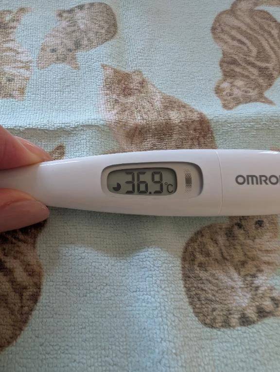 おはようございます😊