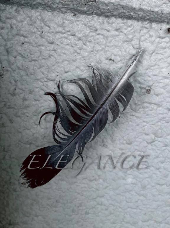 ◾︎ 出勤ゐたしました ◾︎