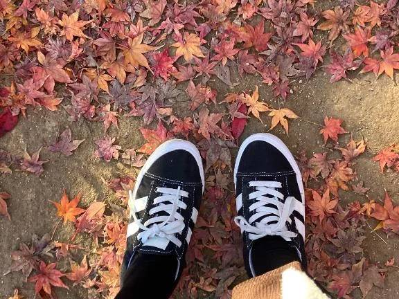 ありがとうございました！