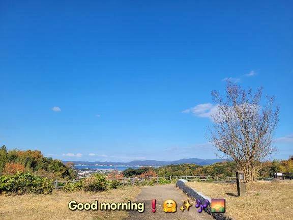 おはようございます♪︎