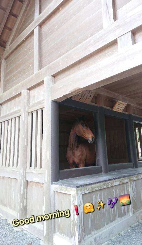 おはようございます♪︎♪︎