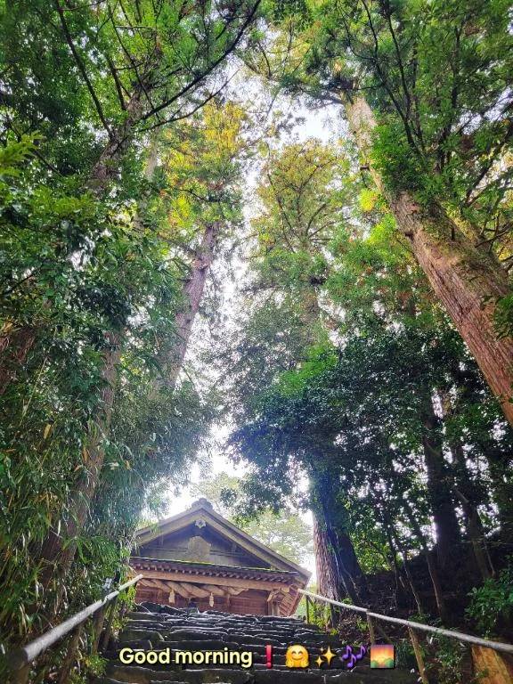 おはようございます♪︎♪︎