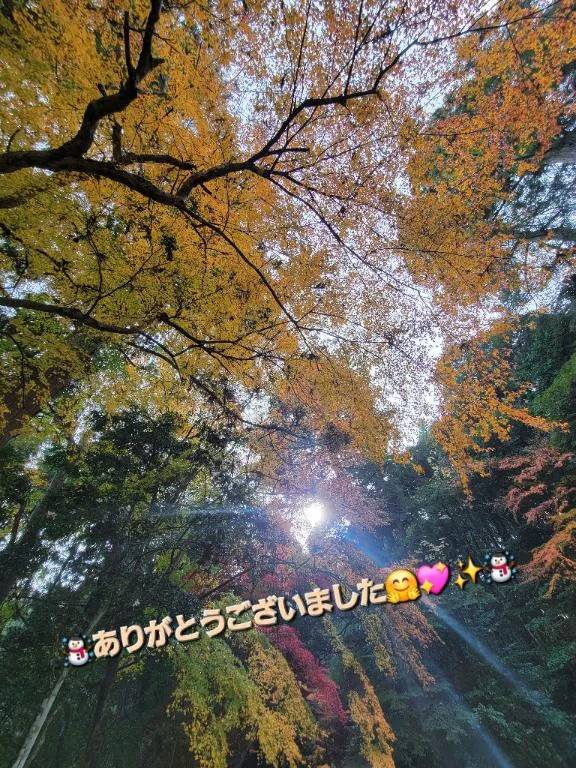 ◎ありがとうございました◎