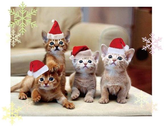 年内の出勤予定です🥳