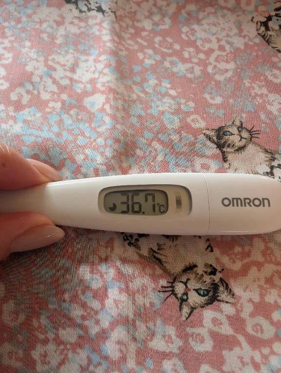 おはようございます😊