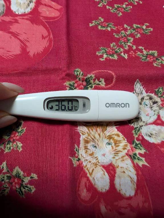 おはようございます😊