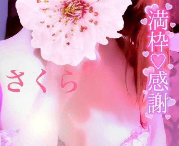 さくら（ELEGANCE エレガンス）