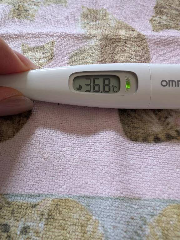 さゆり（ELEGANCE エレガンス）