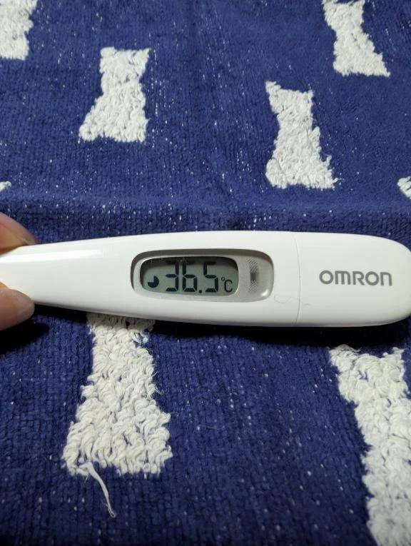 おはようございます😊