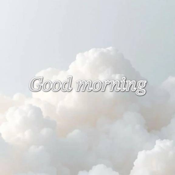 最近のお気に入り