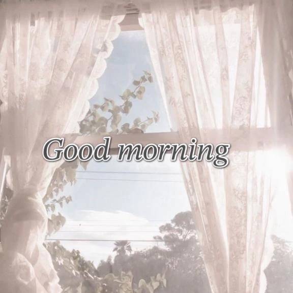 おはようございます☀️