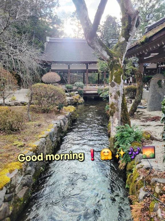 おはようございます♪︎♪︎