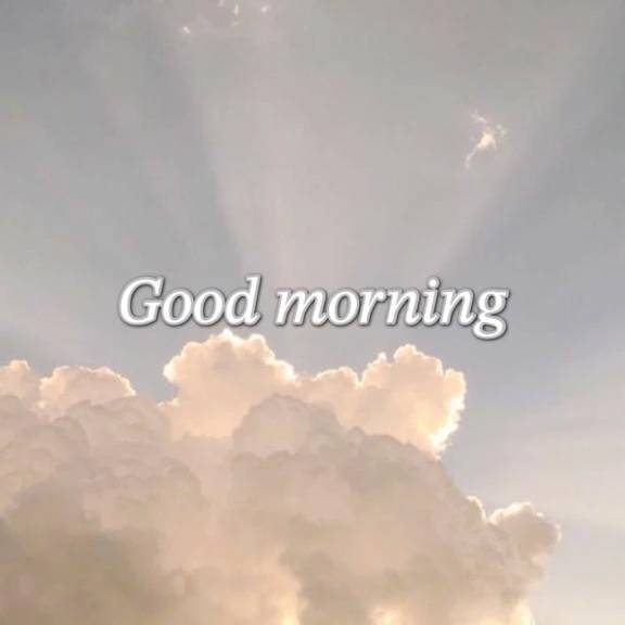 おはようございます☀️