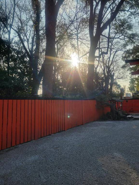 おはようございます♪︎♪︎