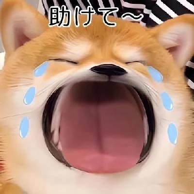 くれは（ELEGANCE エレガンス）