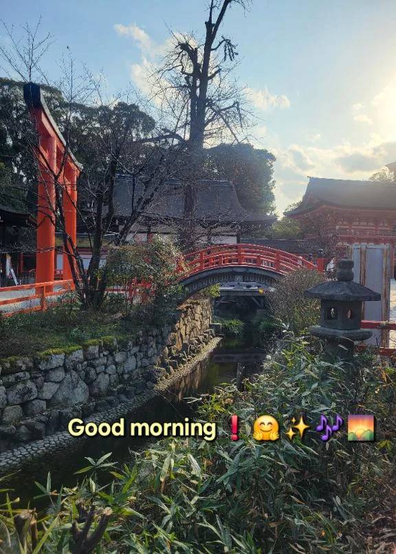 おはようございます♪︎♪︎