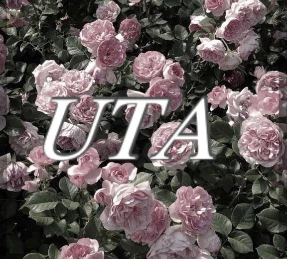 おはようございます☀️