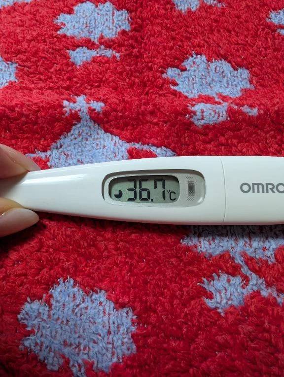 おはようございます♫