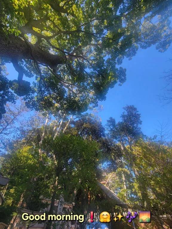 おはようございます♪︎♪︎