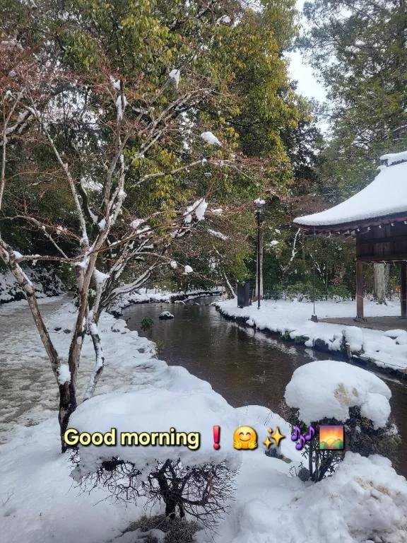 おはようございます♪︎♪︎
