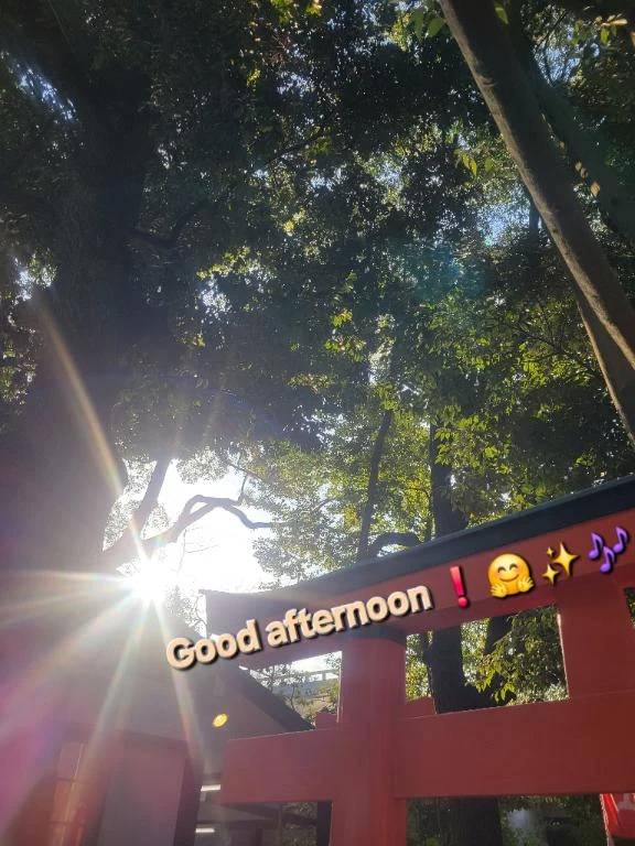 出勤しました♪︎♪︎