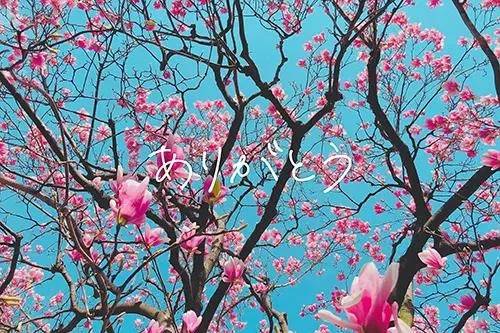 2/23 セレナーデのお客様♡