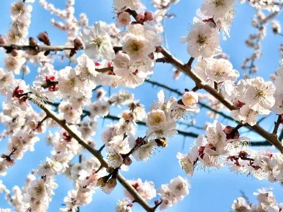 お待たせしました！