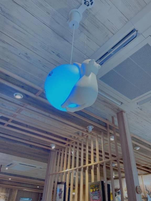 おはようございます☀️