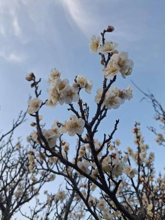 久しぶりの出勤日