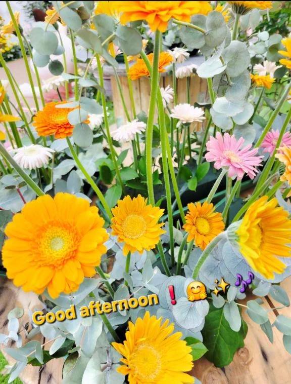 こんにちは♪︎♪︎