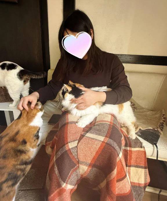 猫は世界を救う