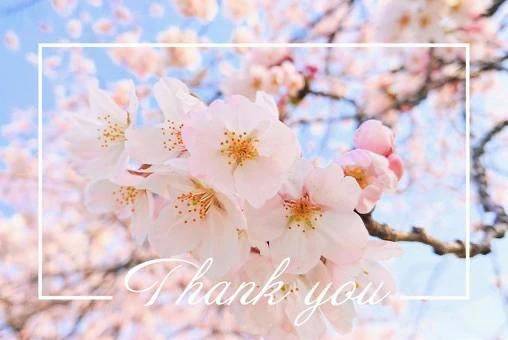 3/20 小粋のお客様♡