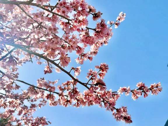 本日、出勤です！