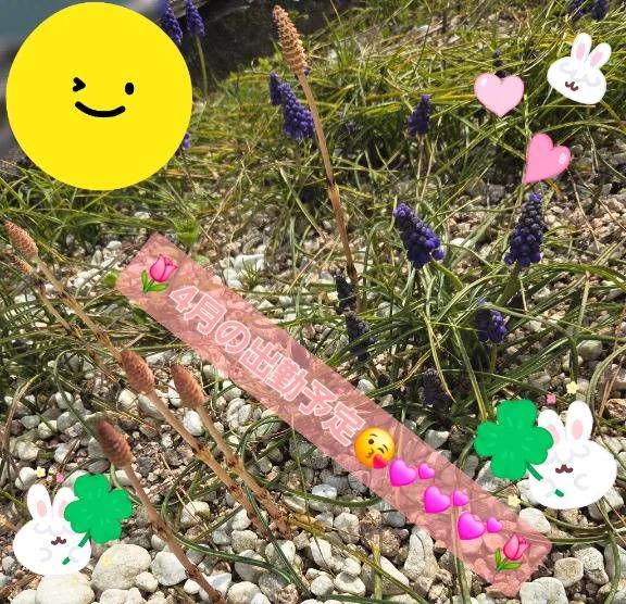 ◆4月の出勤予定◆