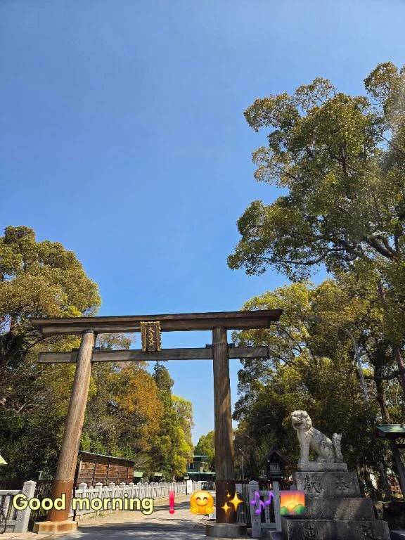 おはようございます♪︎♪︎