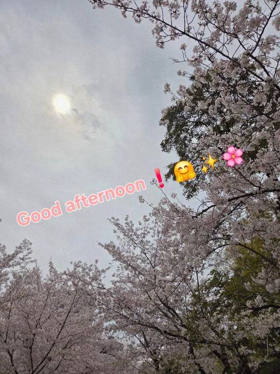 こんにちは♪︎♪︎