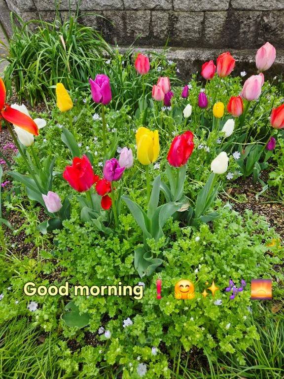 おはようございます☆