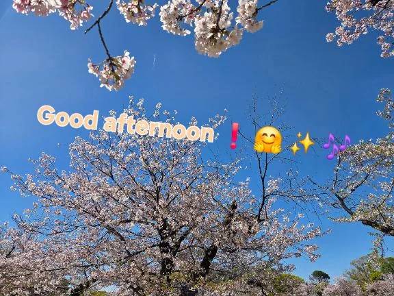 こんにちは♪︎♪︎